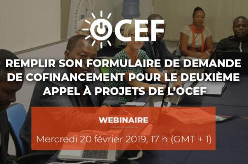 Webinaire : Remplir son formulaire de demande de cofinancement pour le deuxième appel à projets de l’OCEF